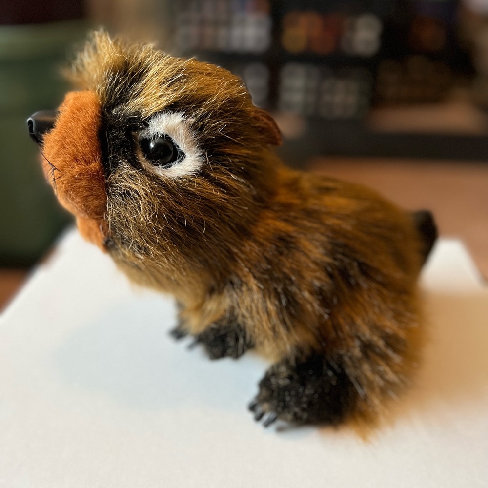 NWOT - Discovery Channel - stuffed animal